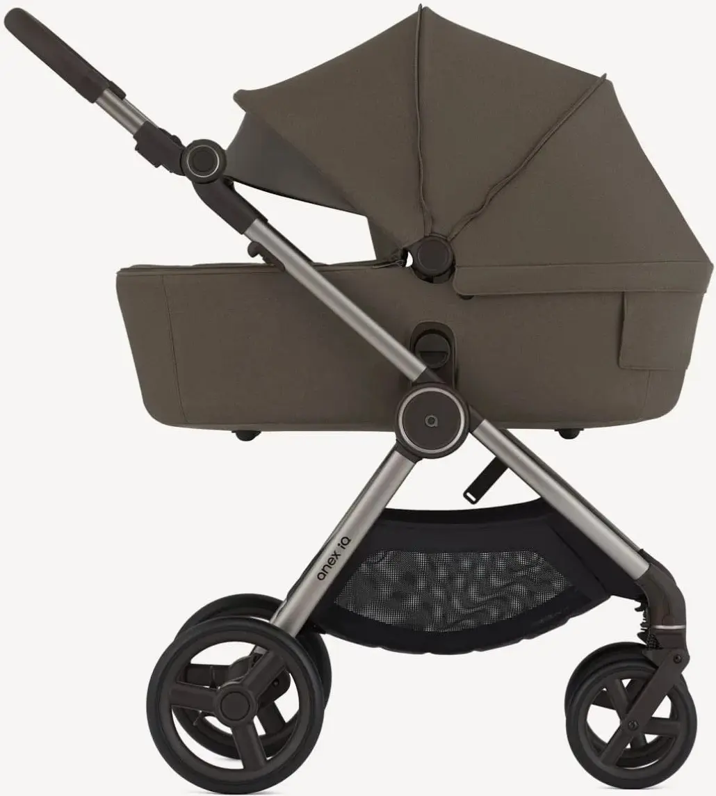Коляска модульная 2в1 Anex IQ Premium (Bruna) - 2