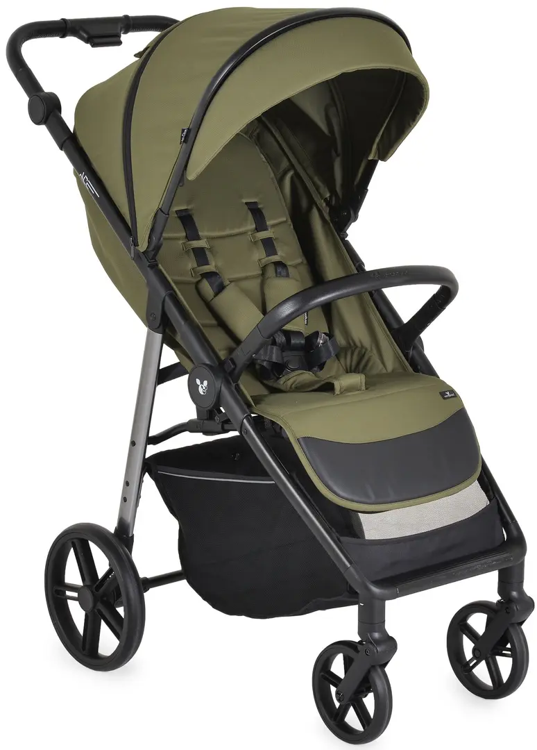 Carucior de plimbare Cangaroo Ace (Cedar Green)