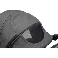 Коляска прогулочная Caretero Elma (Dark Grey) Thumb