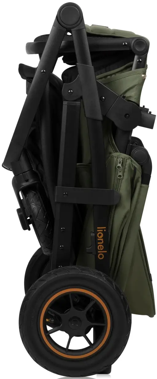 Carucior modular 2in1 Lionelo Amber Plus (Green Forest)