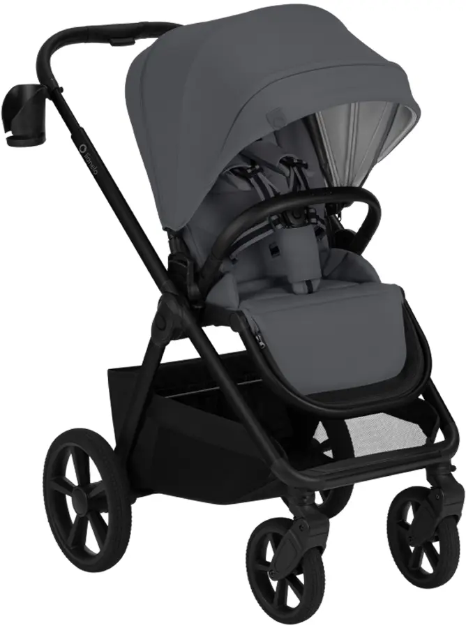 Коляска модульная 2в1 Lionelo Carmine (Grey Stone)
