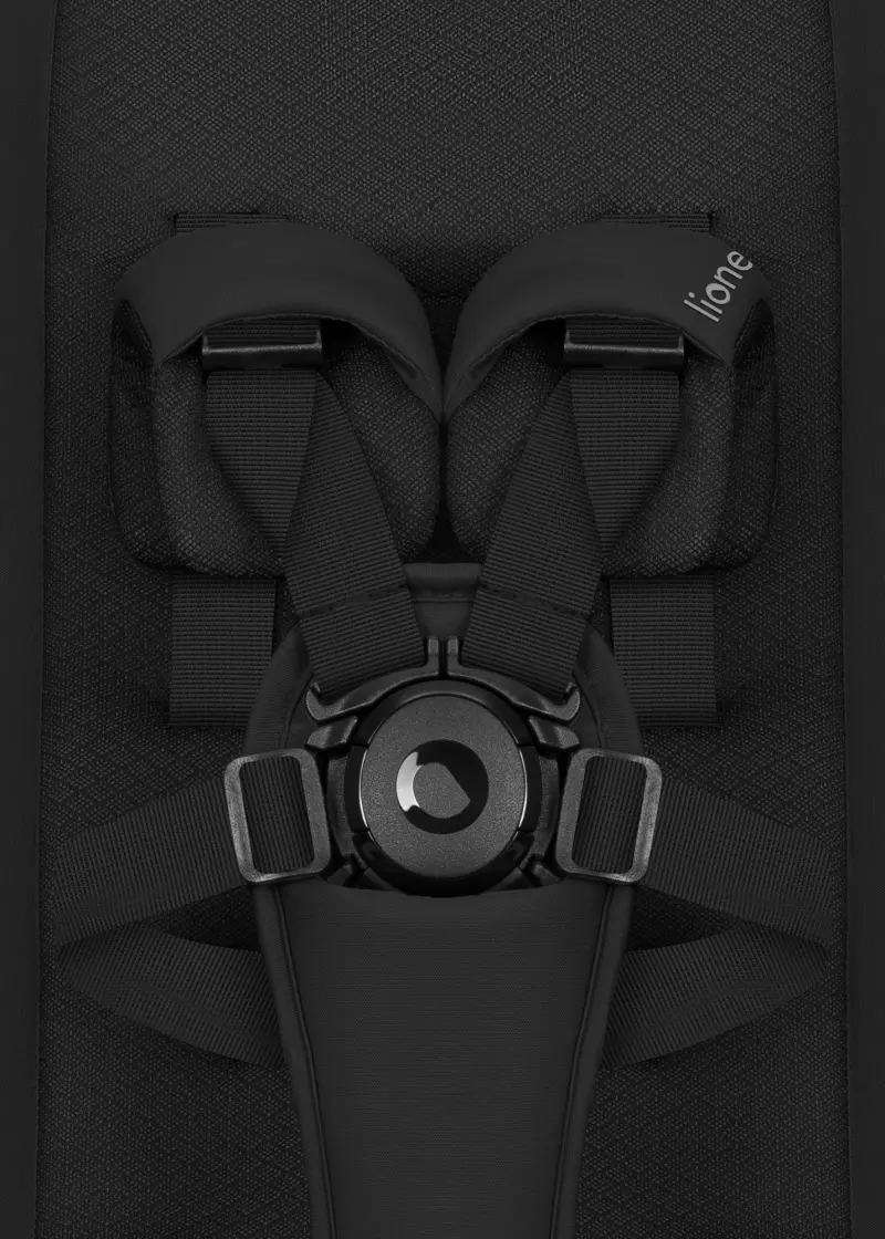 Carucior modular 2in1 Lionelo Sia Flex (Black Onyx) - 6