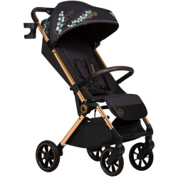 Коляска прогулочная Lionelo Cloe (Golden Moments)
