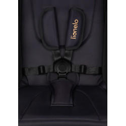 Коляска прогулочная Lionelo Cloe (Golden Moments) Thumb