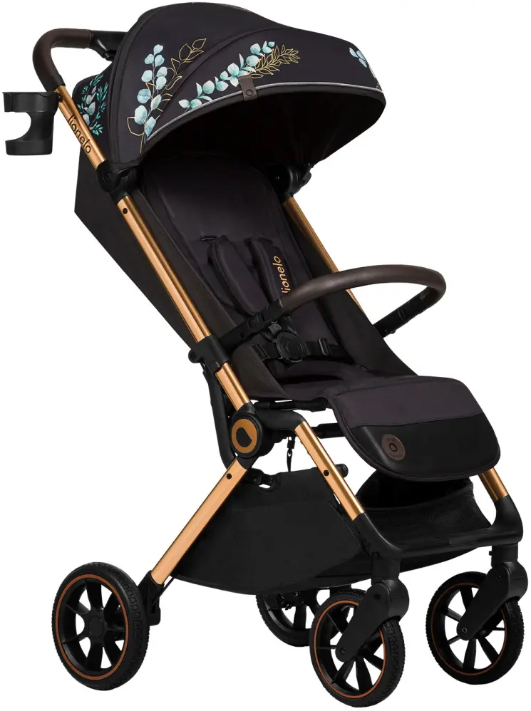Коляска прогулочная Lionelo Cloe (Golden Moments)