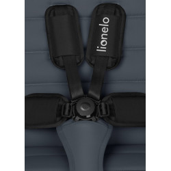 Коляска прогулочная Lionelo Iva (Grey Graphite) Thumb