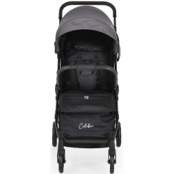 Коляска прогулочная Moni Colibri (Grey) Thumb