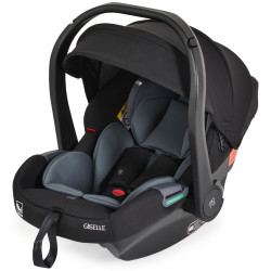 Коляска-трансформер 3в1 Moni Giselle (Grey) Thumb