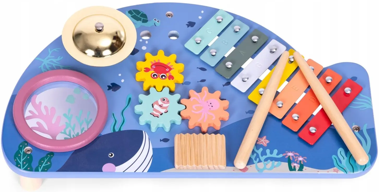 Jucarie muzicala Ecotoys TL204013 (Blue)