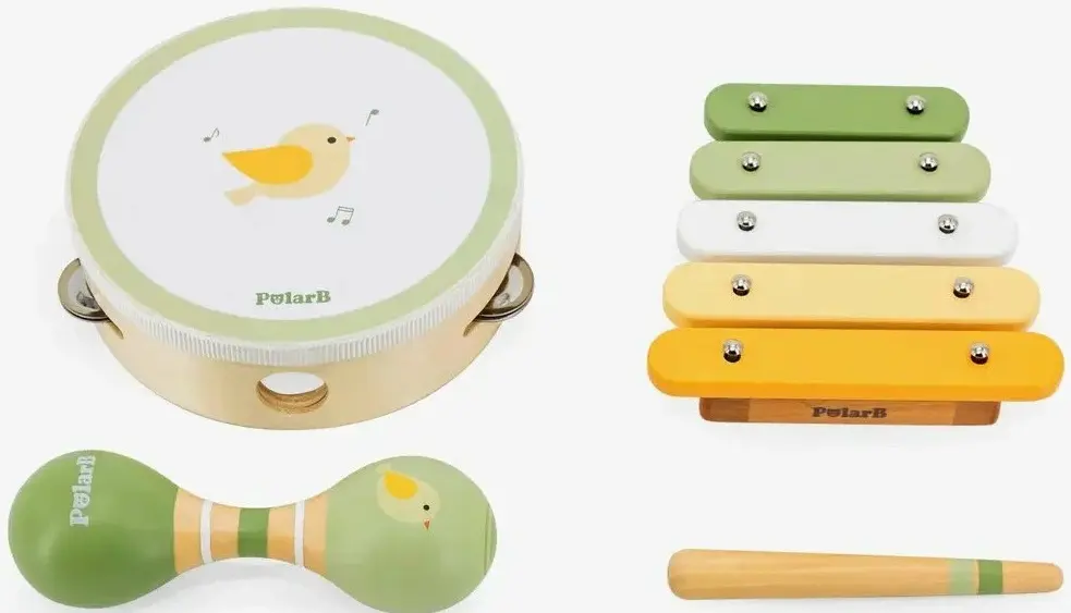 Set de instrumente muzicale Viga Toys PolarB 44213 (Multicolor)