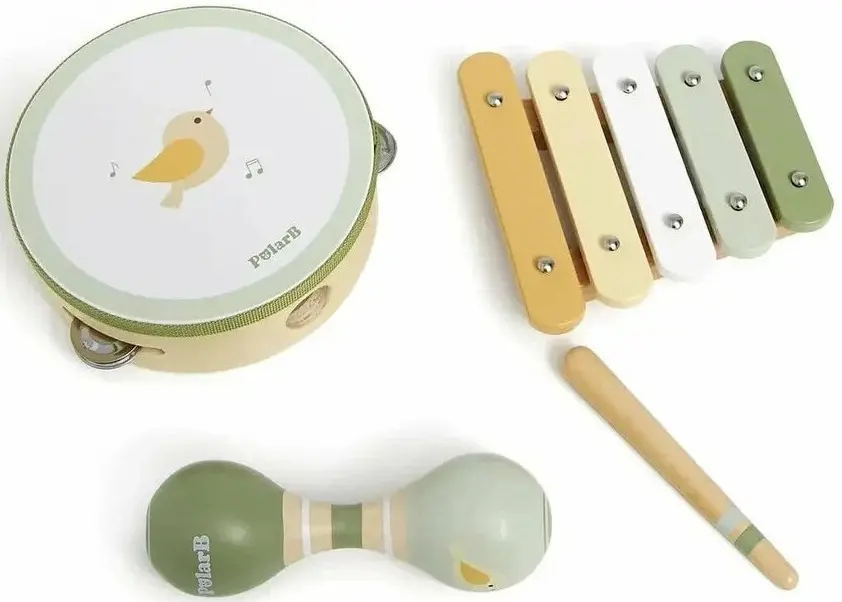 Set de instrumente muzicale Viga Toys PolarB 44213 (Multicolor)