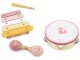 Set de instrumente muzicale Viga Toys PolarB 44214 (Green/Pink)