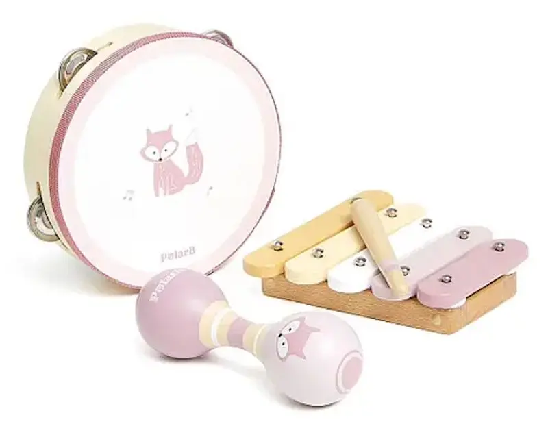 Set de instrumente muzicale Viga Toys PolarB 44214 (Green/Pink)