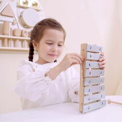Музыкальный набор Viga 44718 (Wood) Thumb