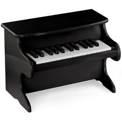 Pian Viga My First Piano 50996 25 Keys (Black)