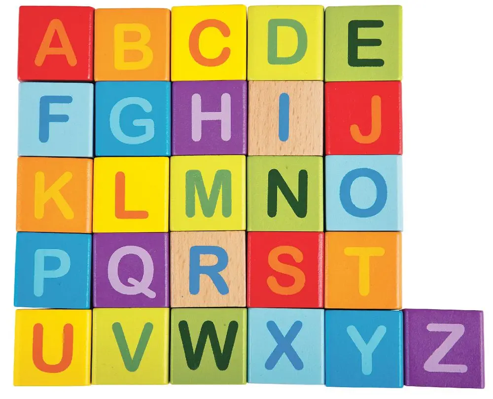 Constructor Hape Building Blocks (Multicolor) - 2