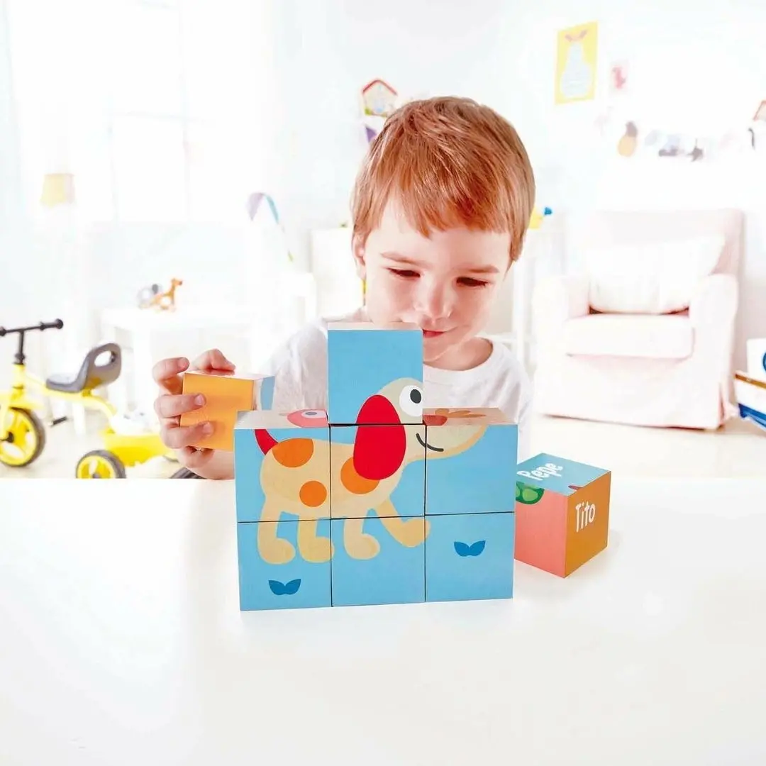 Cuburi educative Hape Friendship E0452 (Multicolor) - 5