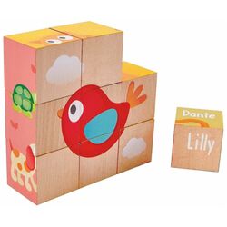 Cuburi educative Hape Friendship E0452 (Multicolor)