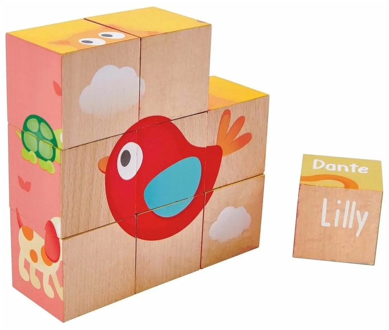 Cuburi educative Hape Friendship E0452 (Multicolor)