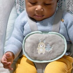 Sezlong-leagan pentru copii Bright Starts Ingenuity AnyWay Sway (Spruce) Thumb