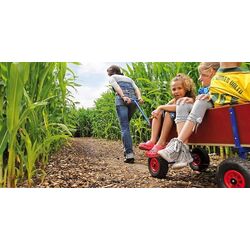 Детская тележка Berg Beach Wagon XL (Wood/Blue) Thumb