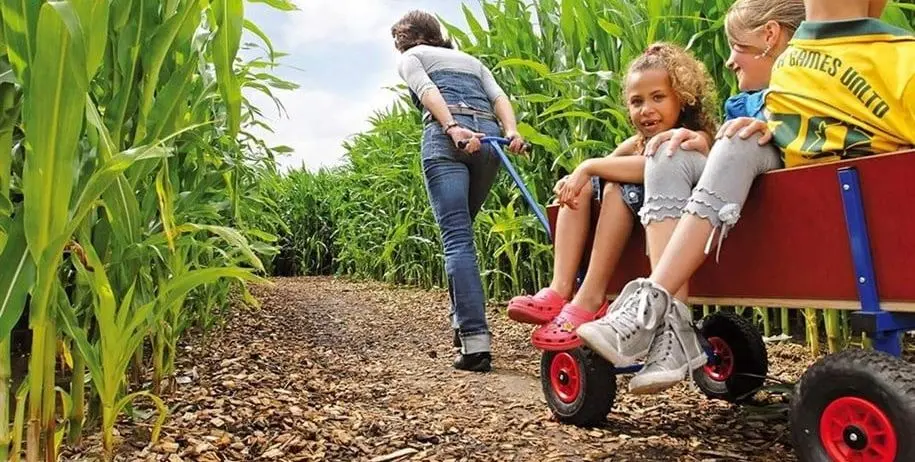 Детская тележка Berg Beach Wagon XL (Wood/Blue) - 3