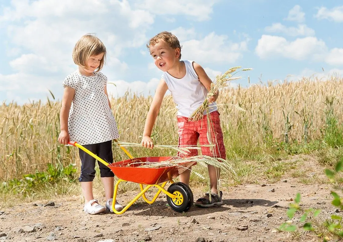 Детская садовая тачка RollyToys 270804 (Red) - 2