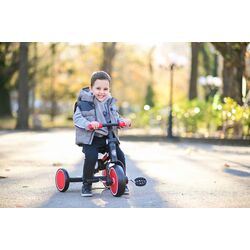 Трехколесный велосипед Bertoni (Lorelli) Buzz (Black/Red) Thumb