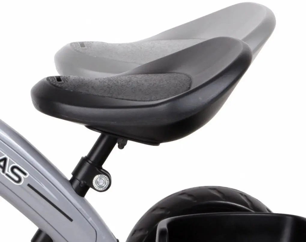 Трехколесный велосипед Bertoni (Lorelli) Dallas (Grey)