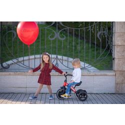 Трехколесный велосипед Bertoni (Lorelli) Dallas (Red) Thumb