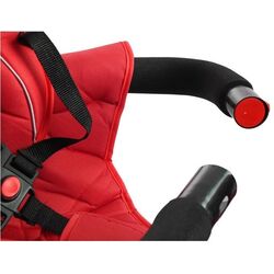 Трехколесный велосипед LeanToys PRO700 (Red) Thumb