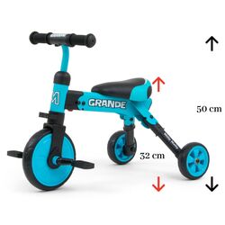 Tricicleta 2in1 Milly Mally Grande (Blue) Thumb