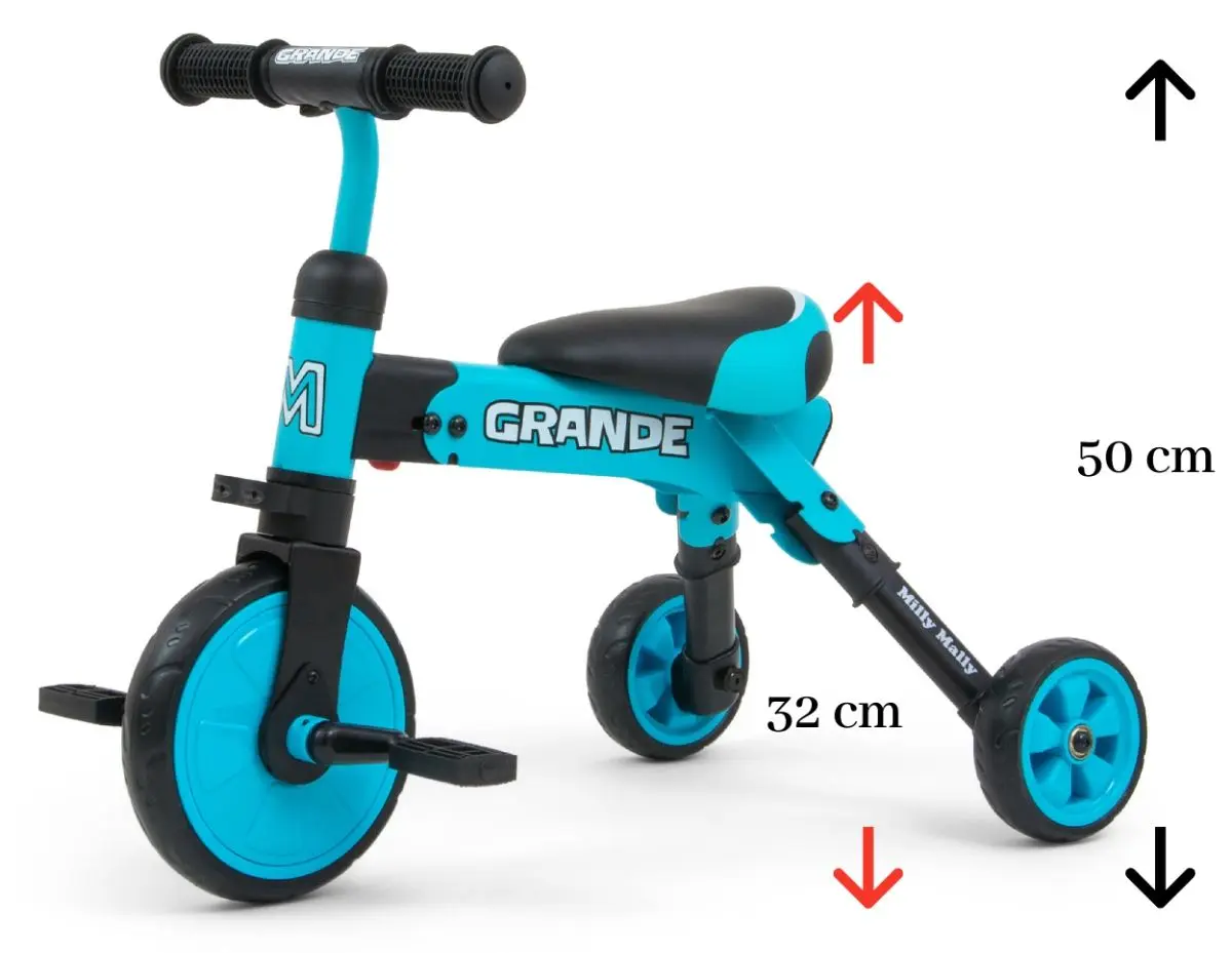 Tricicleta 2in1 Milly Mally Grande (Blue) - 4