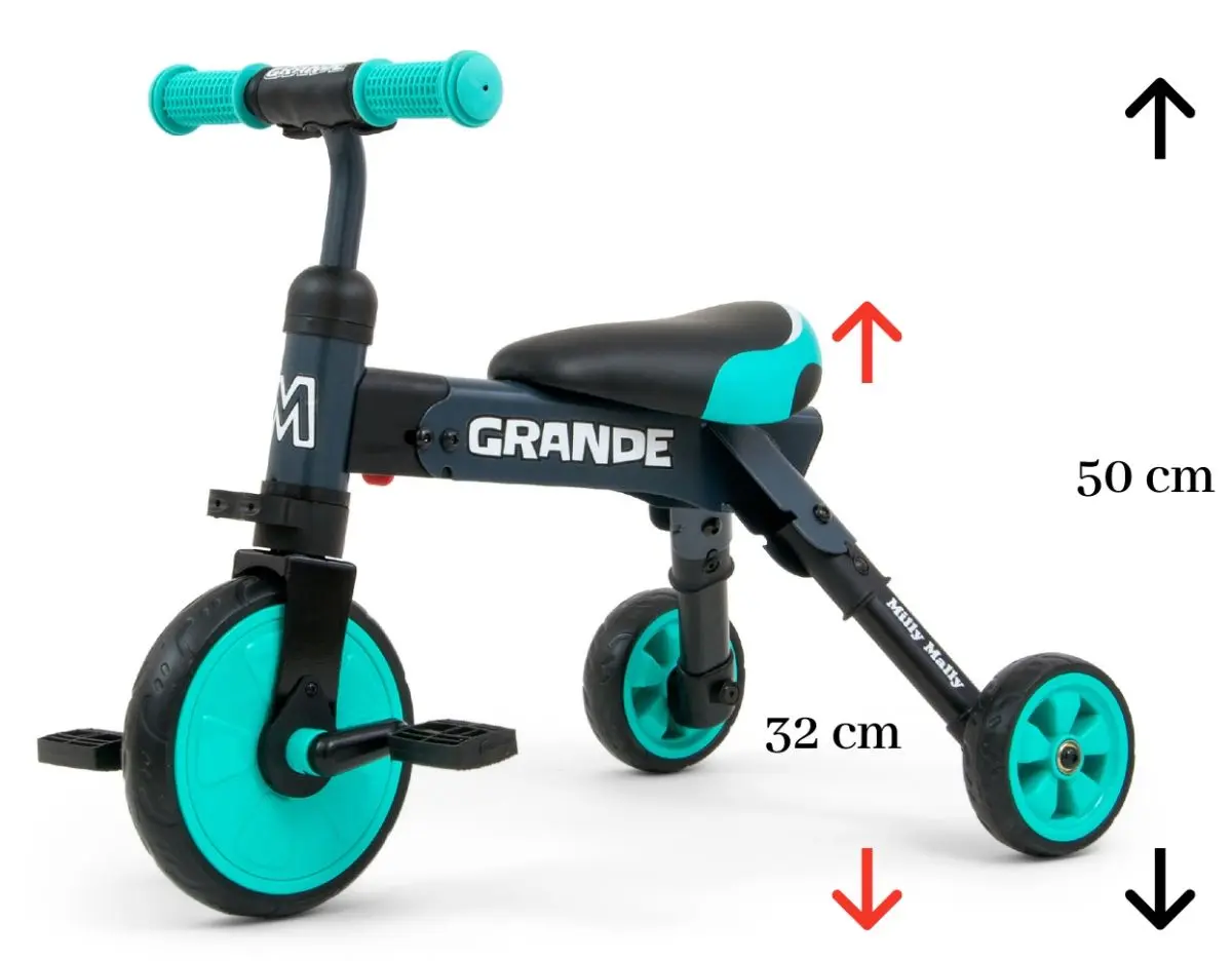 Tricicleta 2in1 Milly Mally Grande (Mint) - 2