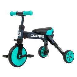 Tricicleta 2in1 Milly Mally Grande (Mint)