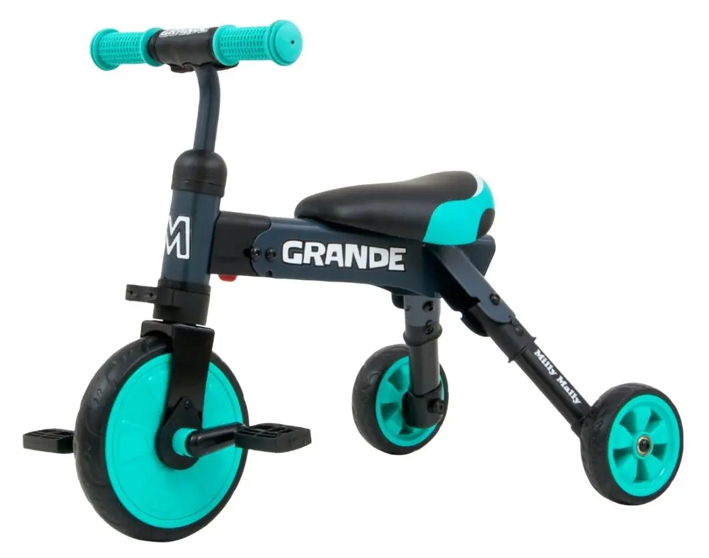 Tricicleta 2in1 Milly Mally Grande (Mint)
