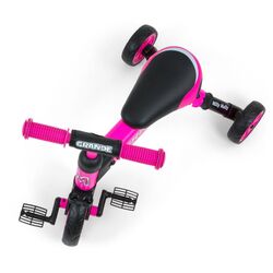 Tricicleta 2in1 Milly Mally Grande (Pink) Thumb