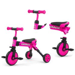 Tricicleta 2in1 Milly Mally Grande (Pink) Thumb