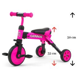 Tricicleta 2in1 Milly Mally Grande (Pink) Thumb