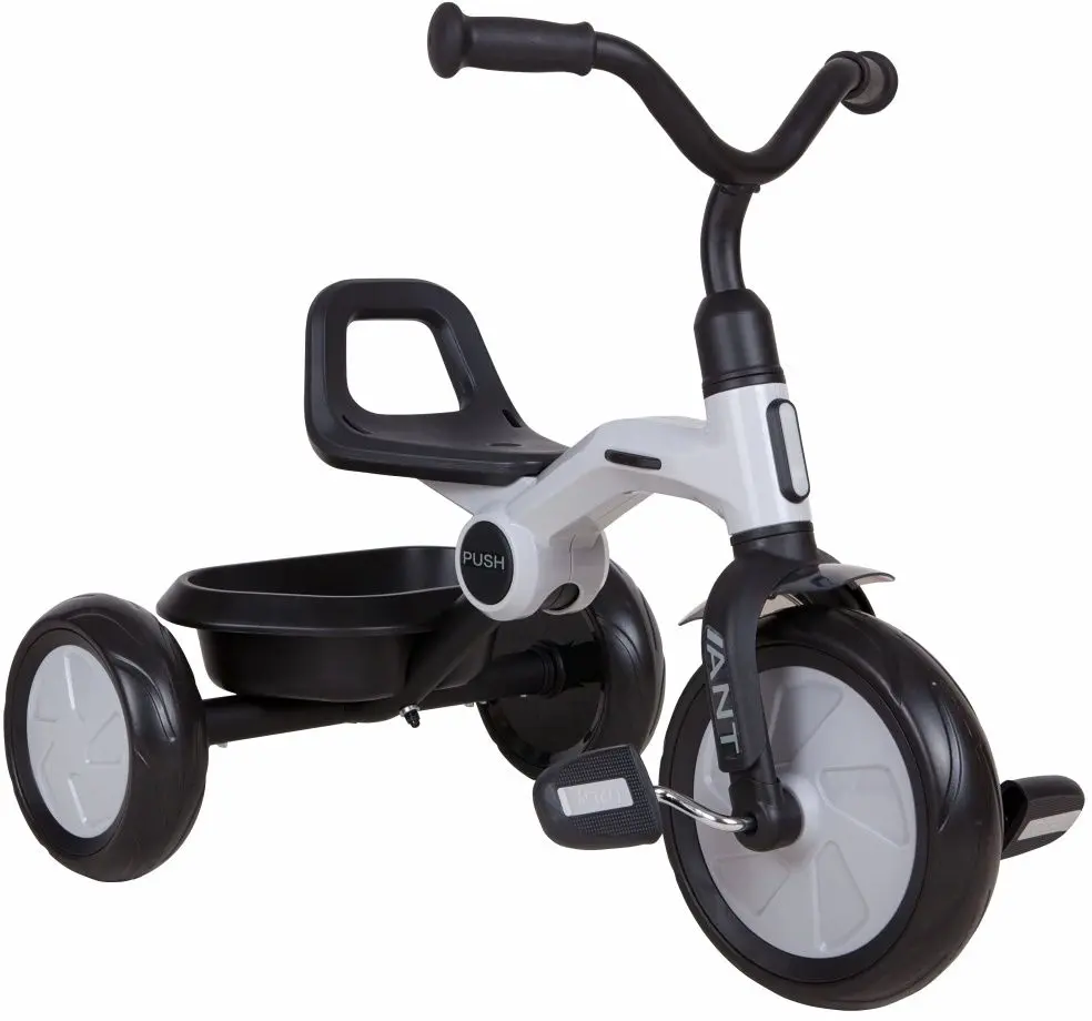 Трехколесный велосипед QPlay Ant (Gray) - 2