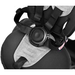 Трехколесный велосипед QPlay Cosy (Grey) Thumb