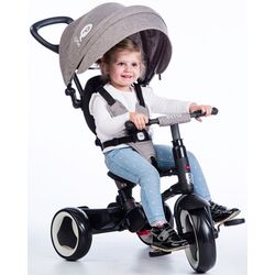 Трехколесный велосипед Qplay Rito (Grey) Thumb