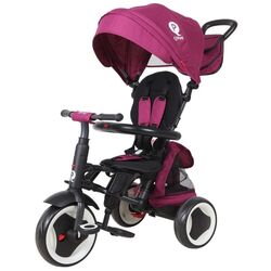 Трехколесный велосипед Qplay Rito Plus (Purple)