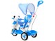 Tricicletă SporTrike Panda A23-2 (Blue)