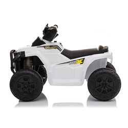 Электроквадроцикл Lean Cars XH116 (White) Thumb