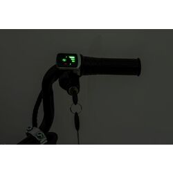 Motocicletă electrică Lean Cars A9902 19927 (Khaki) Thumb