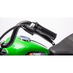 Электромотоцикл Lean Cars A9902 (Green) Thumb