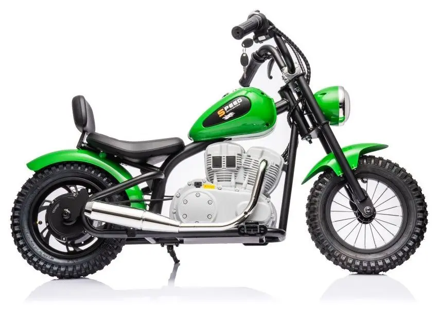 Электромотоцикл Lean Cars A9902 (Green) - 5