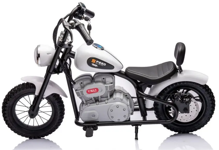 Электромотоцикл Lean Cars A9902 (White) - 3