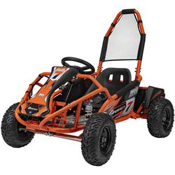 Kart electric Ramiz Mud Monster (Orange)